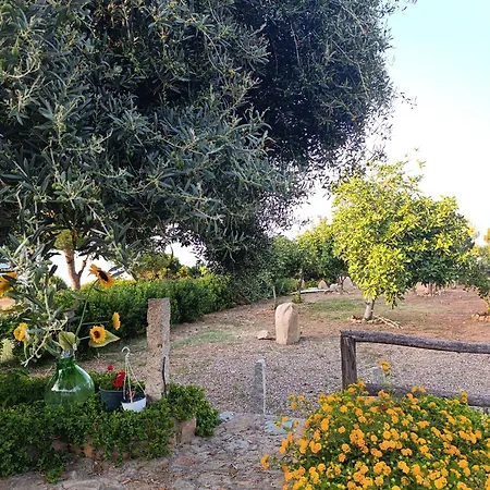 Casa Leonardo شقة Tertenìa