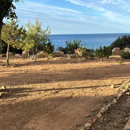Casa Eucalipto