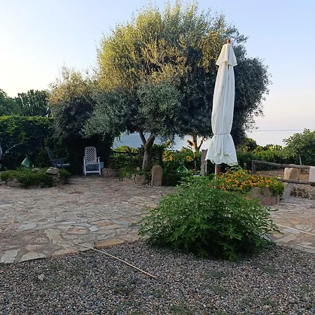 Casa Eucalipto