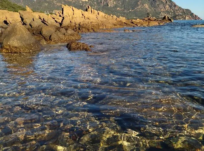 Casa Eucalipto Apartamento Tertenìa